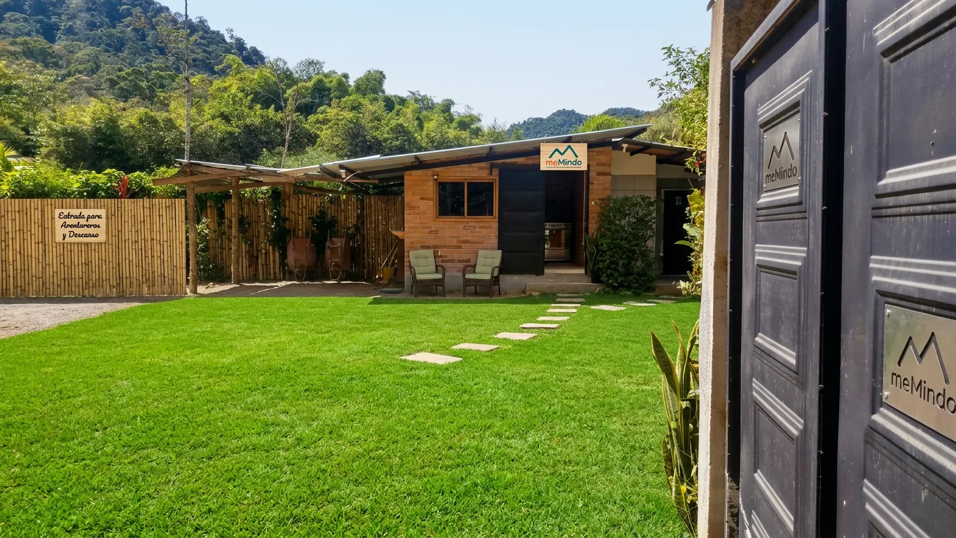 entrada de meMindo